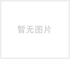 GPS屏蔽器，直接点烟器，方便安全高效